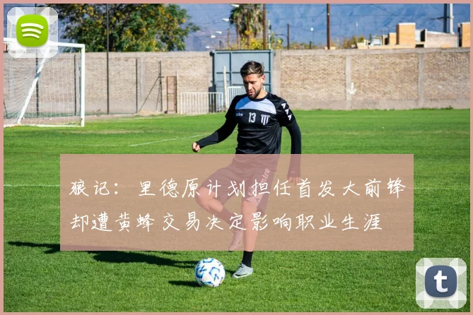 狼记：里德原计划担任首发大前锋却遭黄蜂交易决定影响职业生涯
