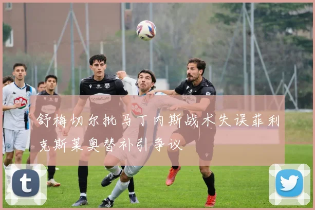 舒梅切尔批马丁内斯战术失误菲利克斯莱奥替补引争议