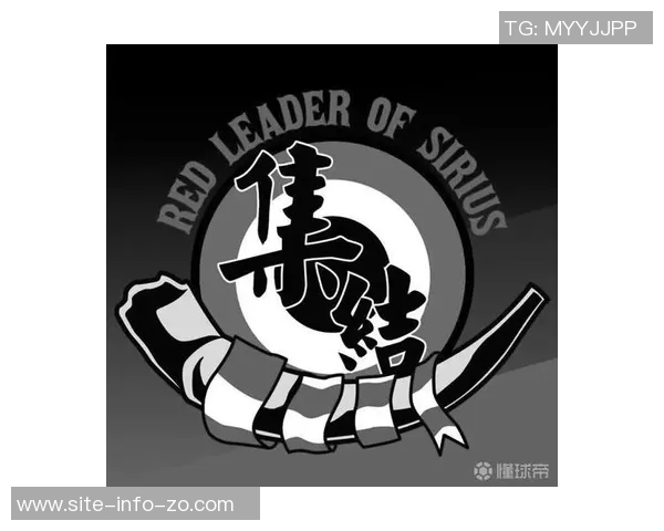 尼斯俱乐部发声谴责球迷暴力行为呼吁维护体育精神与安全 尼斯俱乐部发声谴责球迷暴力行为呼吁维护体育精神与安全